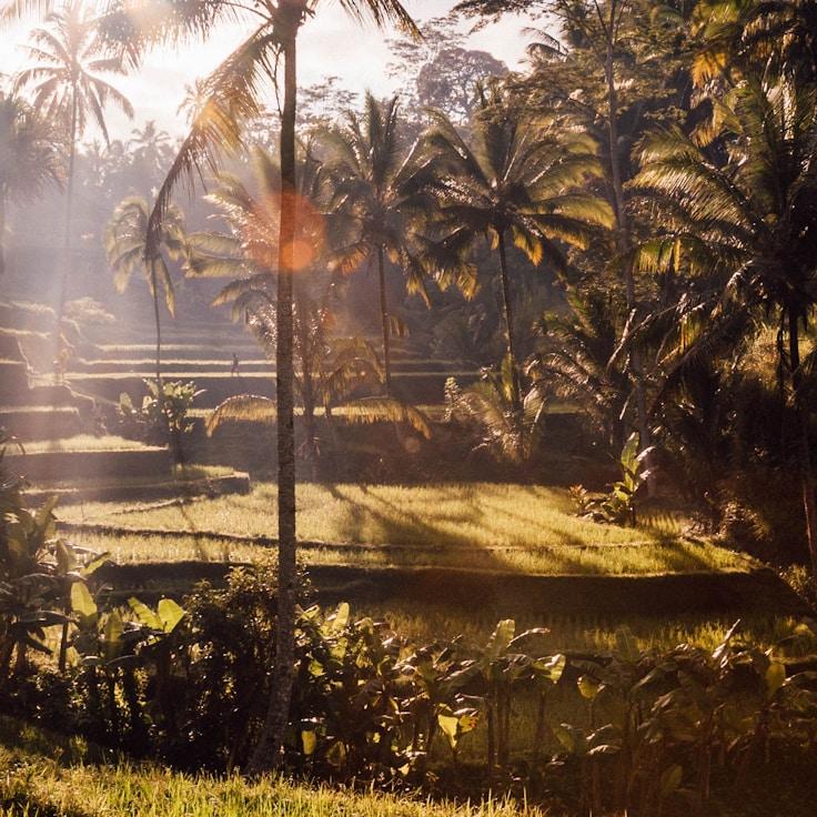 Entertainment zone at night in Portugal